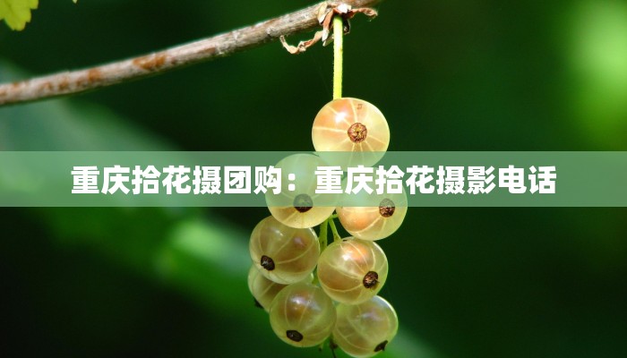 重庆拾花摄团购：重庆拾花摄影电话
